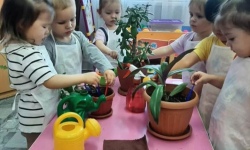 Мектепке дейінгі ұйымдағы экологиялық тәрбие